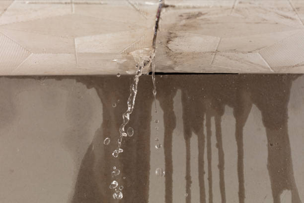 Professional Structural Drying technician working in Industry, TX